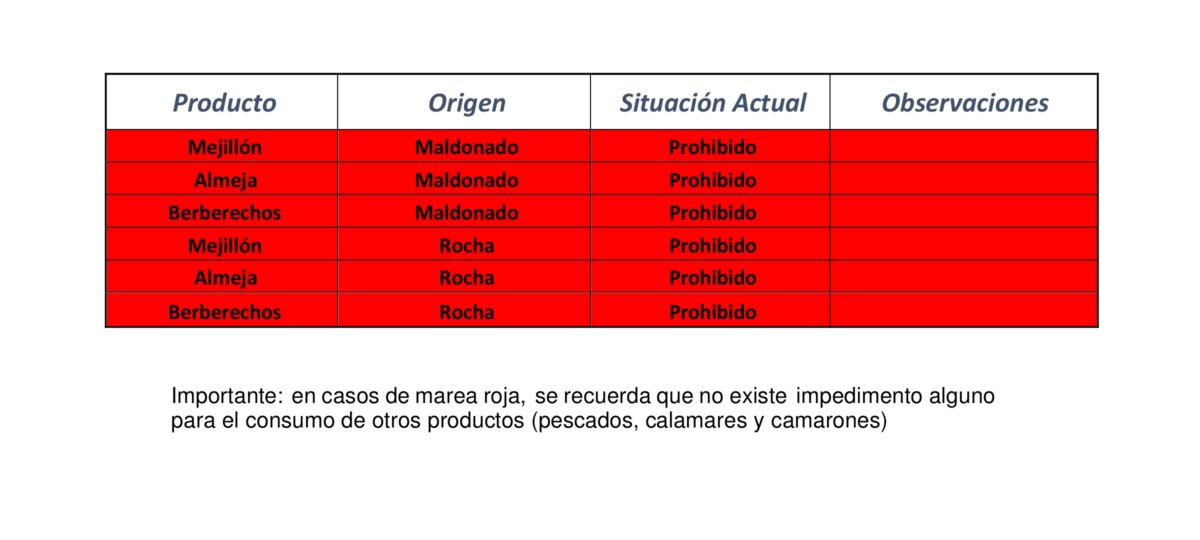 Marea roja: DINARA actualiza las zonas de veda para moluscos bivalvos Marea roja: DINARA actualiza las zonas de veda para moluscos bivalvos