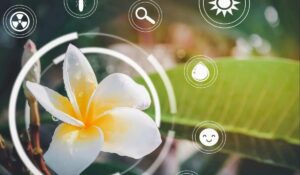 ¿Cómo se sienten las plantas? La tecnología que revela sus secretos