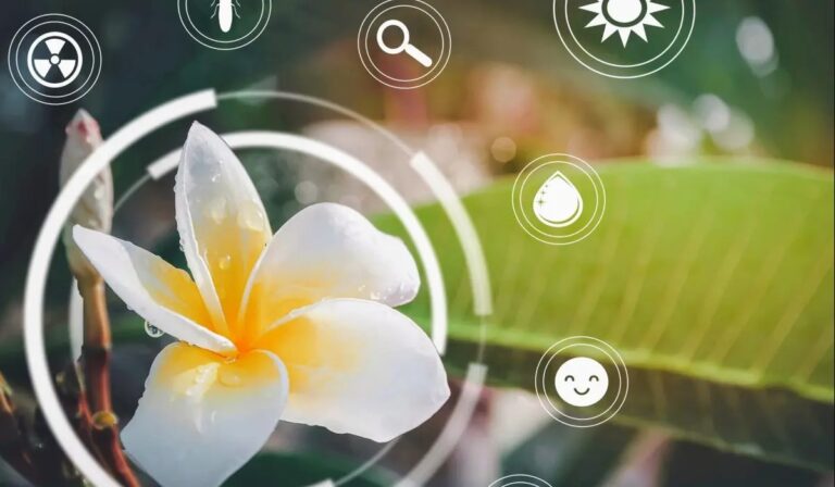 ¿Cómo se sienten las plantas? La tecnología que revela sus secretos