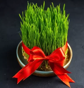 ¿Qué es la hierba para gatos?