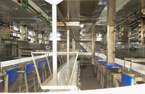 Río Solís IV: un avance para la industria pesquera uruguaya