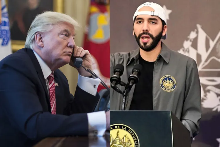 Donald Trump y Nayib Bukele se telefonearon y estudian formar dupla contra el Tren de Aragua