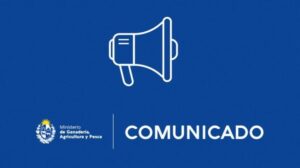 COMUNICADO: INBA constató muerte de tres animales en frigoríficos y reitera su preocupación ante medidas gremiales sorpresivas