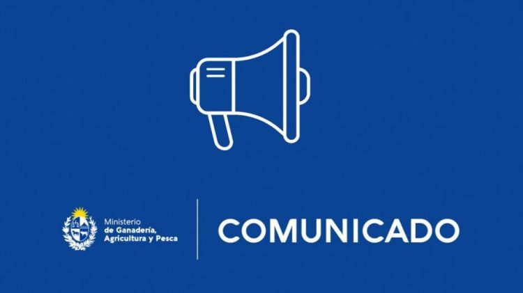 COMUNICADO: INBA constató muerte de tres animales en frigoríficos y reitera su preocupación ante medidas gremiales sorpresivas