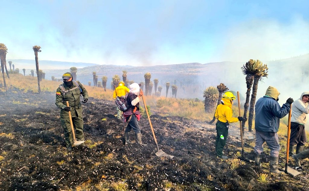 Colombia | Controlan el 95% del incendio en el páramo La Cortadera: Un triunfo colectivo en defensa de un ecosistema vital