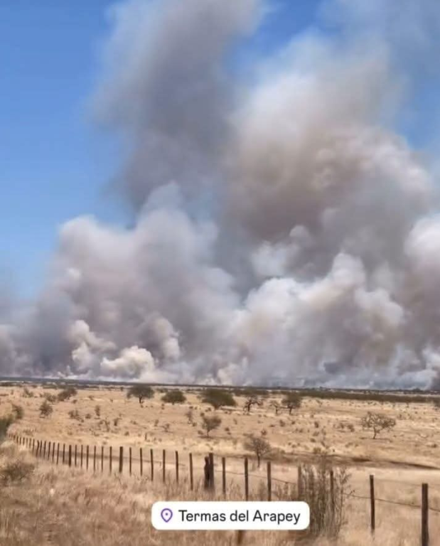 Voraces incendios de campos se registran / Sequía y altas temperaturas complican combate al fuego