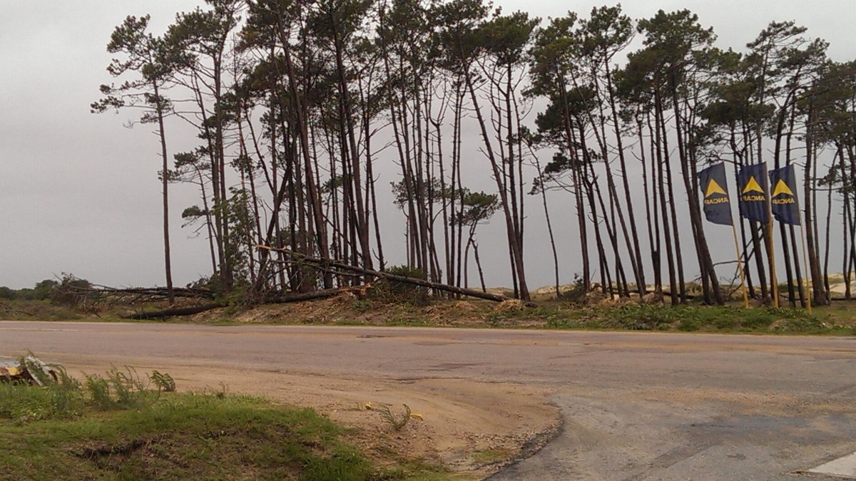 Luis Suárez testigo de un rescate: hombre desciende tras amenaza de suicidio