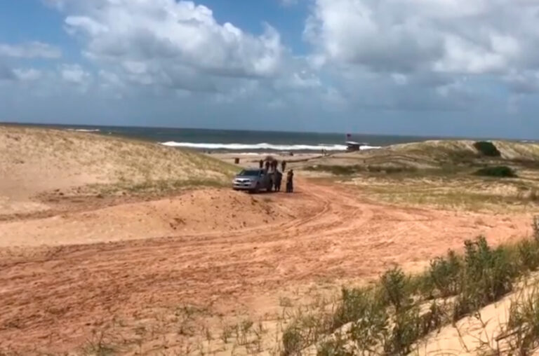 Detienen a una argentina por venta de brownies de marihuana