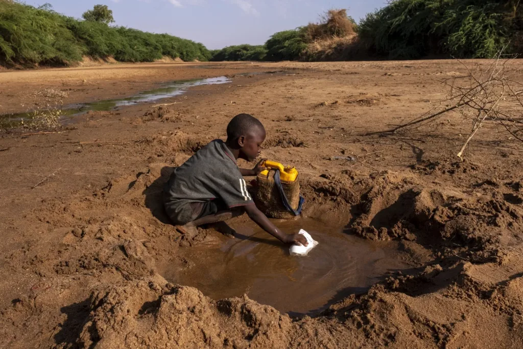 Alerta global: cómo el cambio climático redefinió el ciclo del agua en 2024 