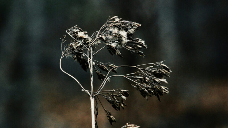 4 pasos para decrecer espiritualmente en el 2025