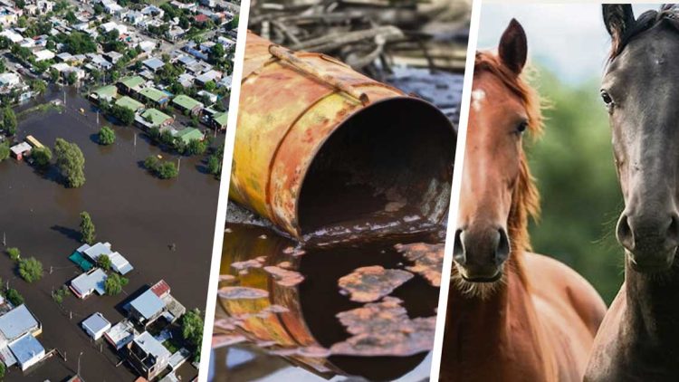 Lo que dejó 2024: inundaciones, derrames de sustancias peligrosas y encefalitis equina