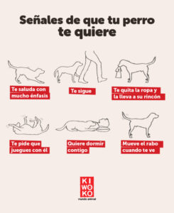 Qué beneficios tiene acariciar a tu perro