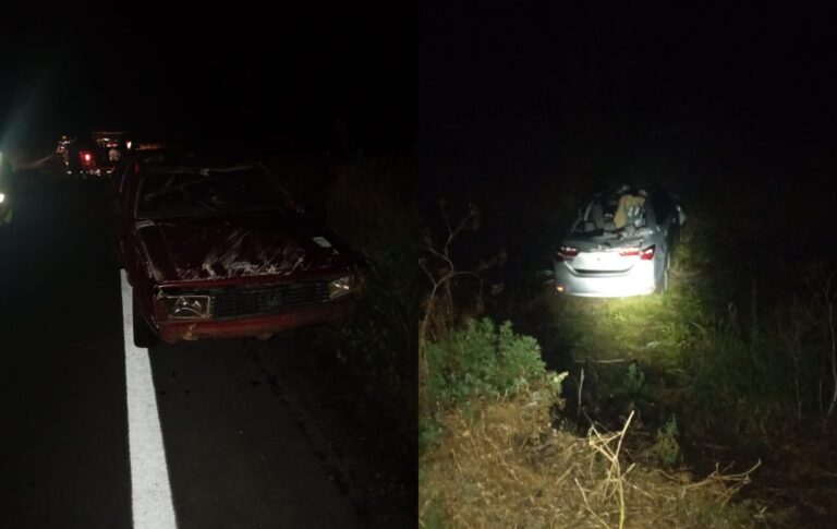 Grave accidente en ruta 4 deja una víctima fatal y múltiples heridos tras choque con caballos