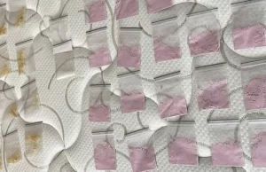 Imputan a ocho argentinos tras incautación de droga sintética en Punta del Este