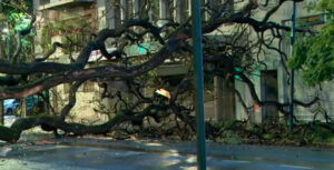 Tormenta, granizo y ráfagas de viento de más de 80 km/h
