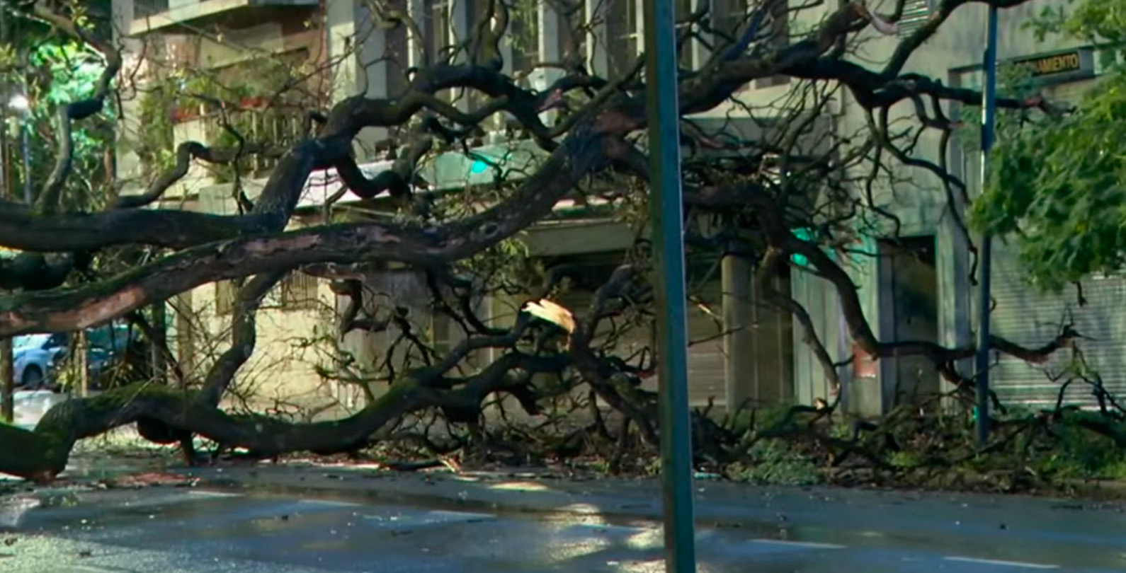Tormenta, granizo y ráfagas de viento de más de 80 km/h