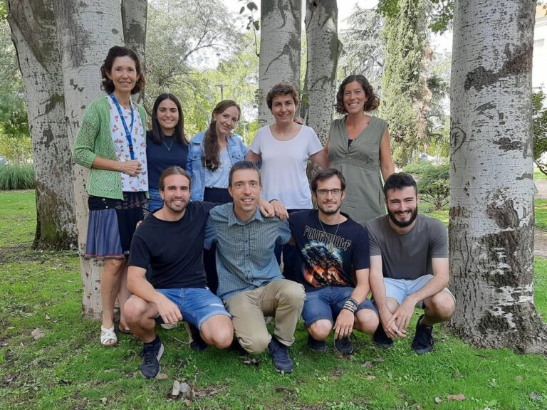 Las especies invasoras amenazan la capacidad de los bosques para almacenar carbono en el suelo