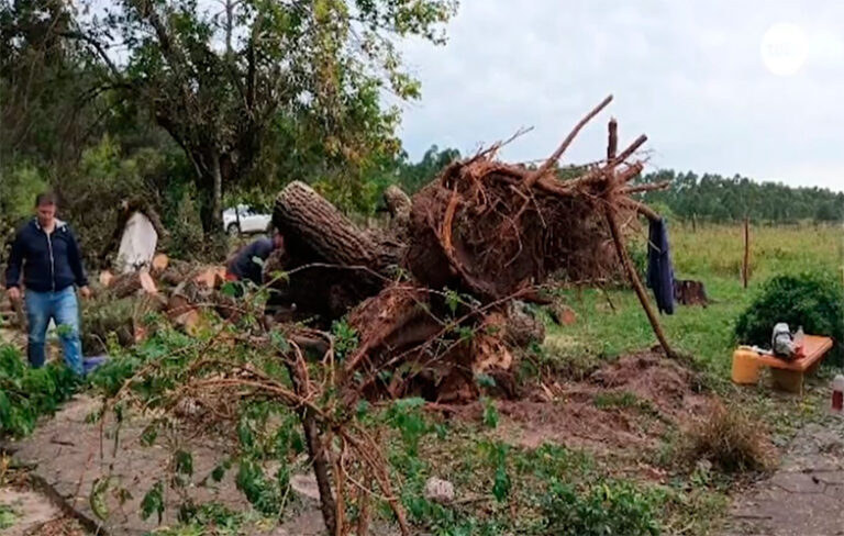 Fuerte temporal en Río Negro deja 15.000 hectáreas afectadas y millonarias pérdidas para productores