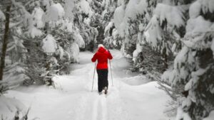 Entre 0 y 10, ¿cómo califican los europeos su satisfacción con la vida?