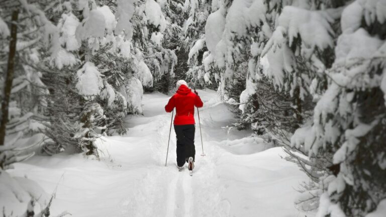 Entre 0 y 10, ¿cómo califican los europeos su satisfacción con la vida?