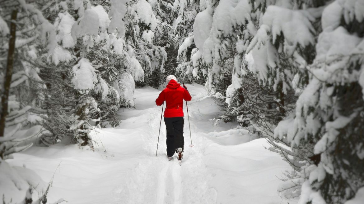 Entre 0 y 10, ¿cómo califican los europeos su satisfacción con la vida?