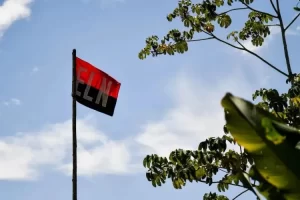 El drama del Catatumbo: Un mes de enfrentamientos que deja a miles de afectados