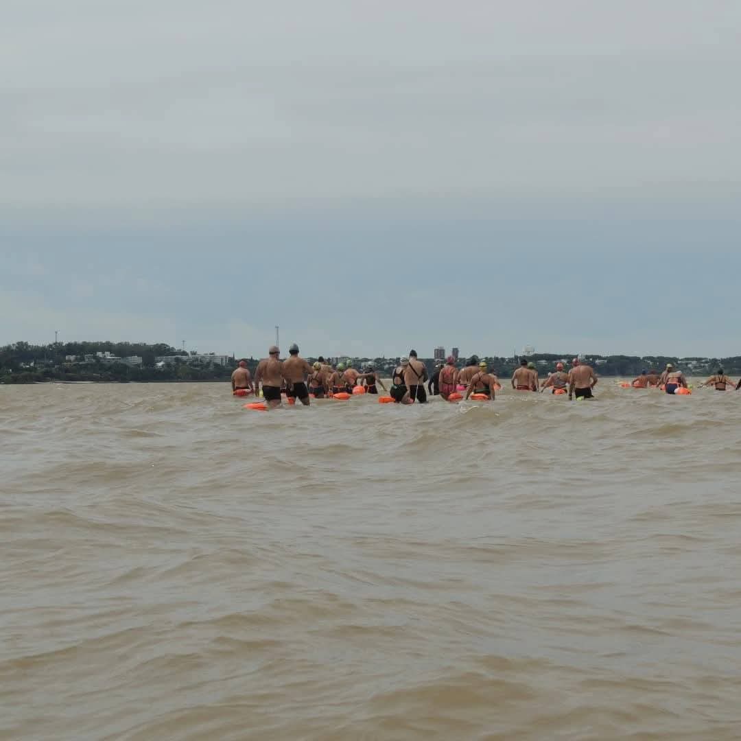 Exitosa edición del Cruce de la Bahía de Colonia con más de 100 nadadores Exitosa edición del Cruce de la Bahía de Colonia con más de 100 nadadores