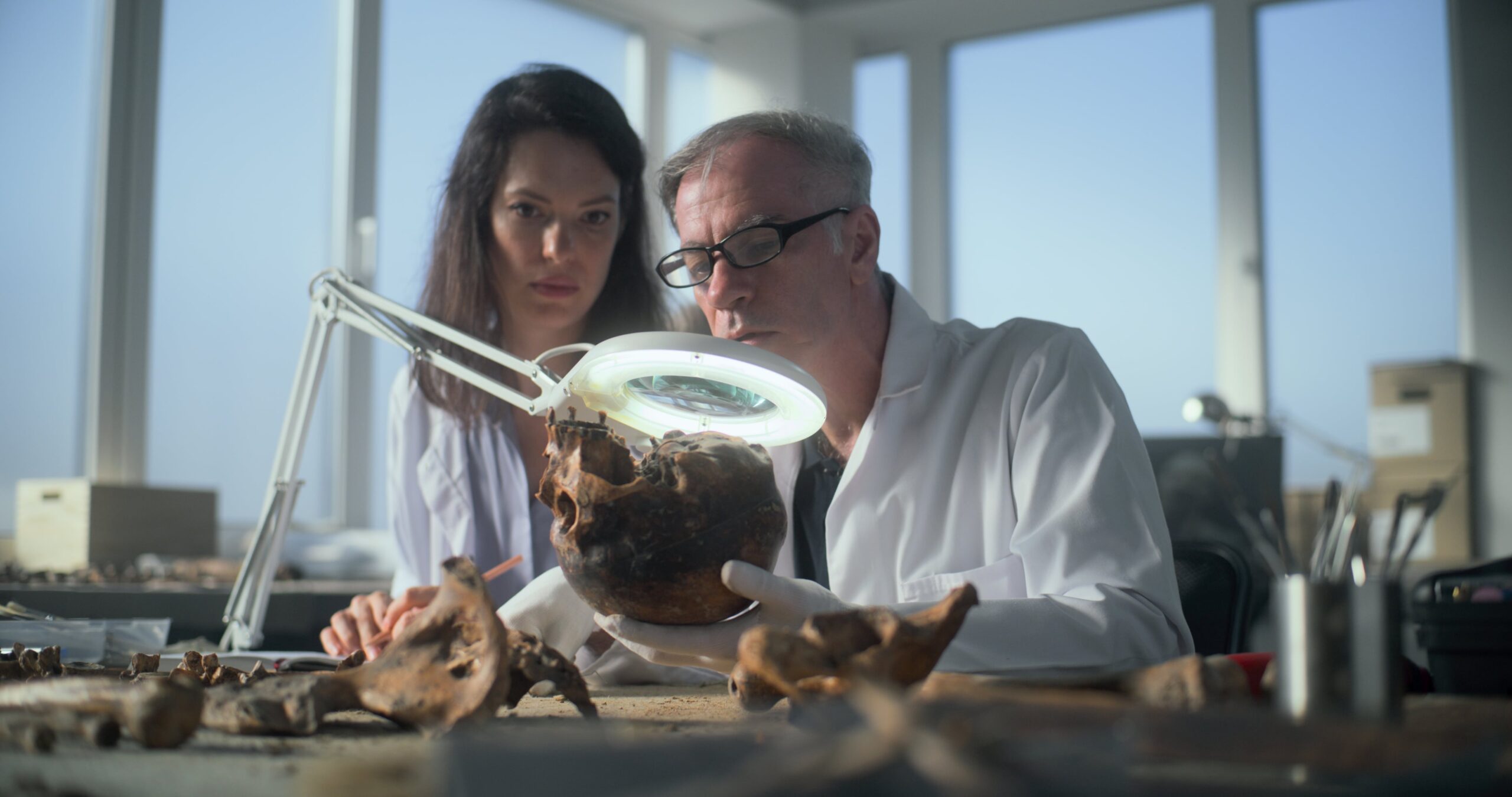 Cuándo es el Día Mundial de la Antropología y por qué es tan importante