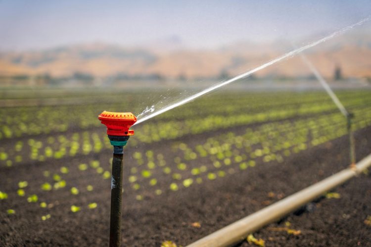 UTE aprobó descuentos para regantes y productores vitivinícolas