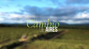 Un nuevo vídeo promocional de Rutas del Vino de España