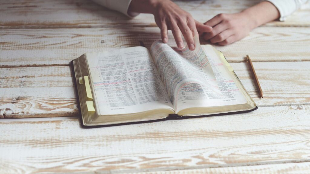 Cómo la crítica textual me ayudó a confiar más en la Biblia