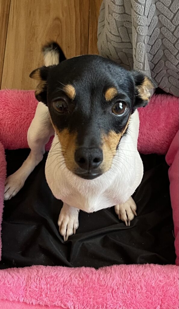 Historias que dejan huella: Maider & Lio