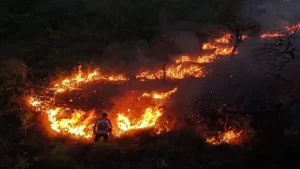 Al menos un muerto y más de 1.000 evacuados tras incendios en Argentina