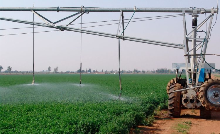Director de Recursos Naturales del MGAP: Generalizar incentivos al riego para contribuyentes IRAE como Imbeba.