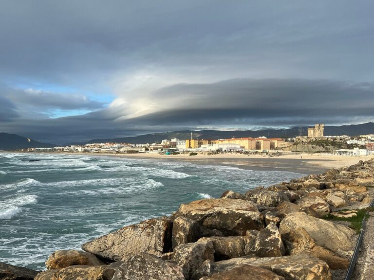 Tarifa tiene más de 40.000 toneladas de algas y no sabe qué hacer con ellas. Así que va a intentar monetizarlas