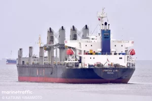 Dos buques graneleros arriban al Puerto de Montevideo este 27 de marzo