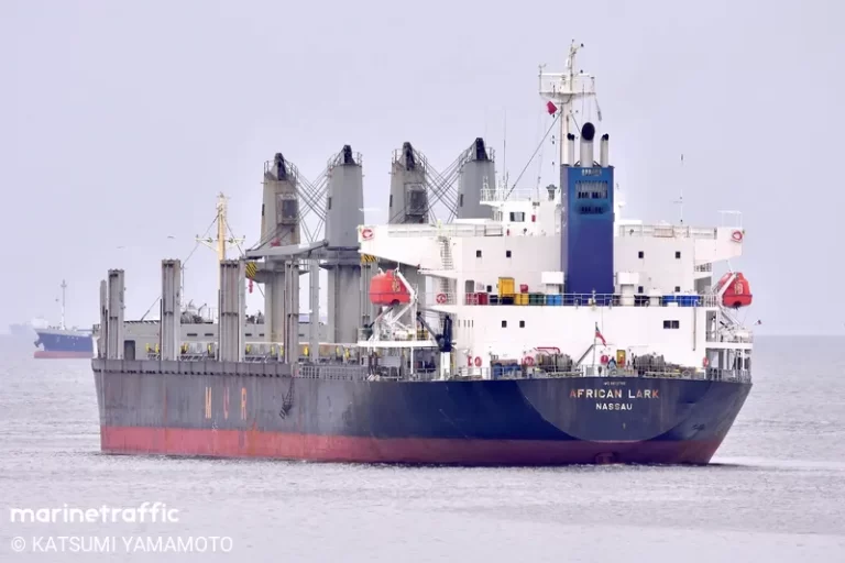 Dos buques graneleros arriban al Puerto de Montevideo este 27 de marzo