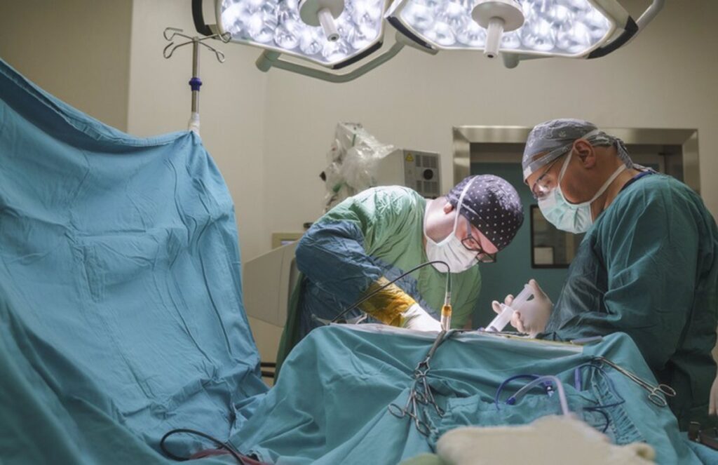 A partir de este lunes, entra en vigor la baja laboral especial para donantes vivos de órganos o médula. A partir de este lunes, entra en vigor la baja laboral especial para donantes vivos de órganos o médula.
