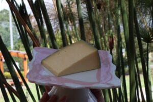 Sopó vivirá su primer Festival del Queso