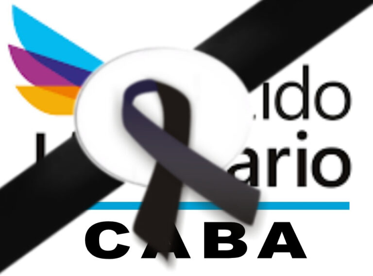 Sombra de irregularidades sacuden al Partido Libertario CABA