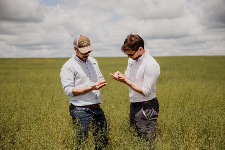 LDC y GCE desarrollarán variedades de camelina y semillas, además de proporcionar soporte técnico a los productores.