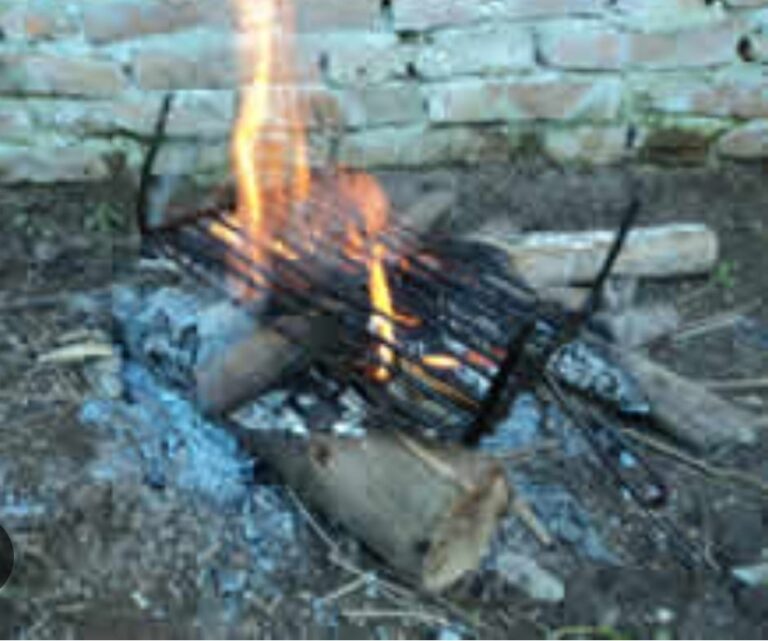Indigencia en zona del Hospital /Pretendieron hacer asado en medio de la vereda