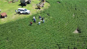 Productores de Rusia y Entre Ríos intercambian conocimientos tecnológicos