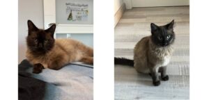 Historias que dejan huella: Lidia y Paul 