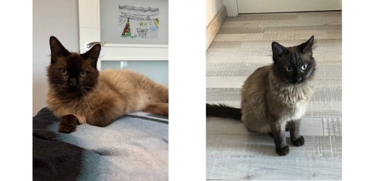 Historias que dejan huella: Lidia y Paul 