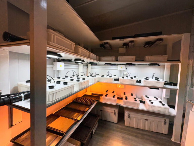 Cultivo hidropónico en la Antártida