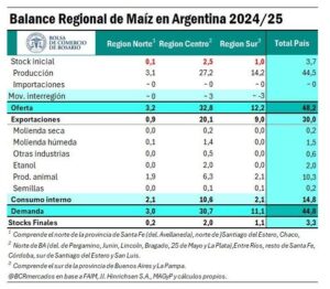 Este año el balance de oferta regional del maíz argentino sería más equilibrado, aunque por el momento los precios están “explotados” en el sur