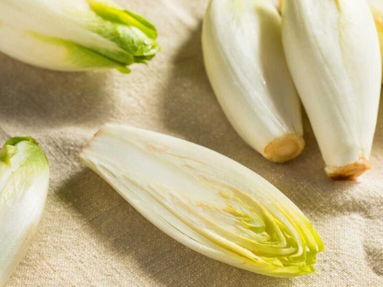 Endivias a la plancha