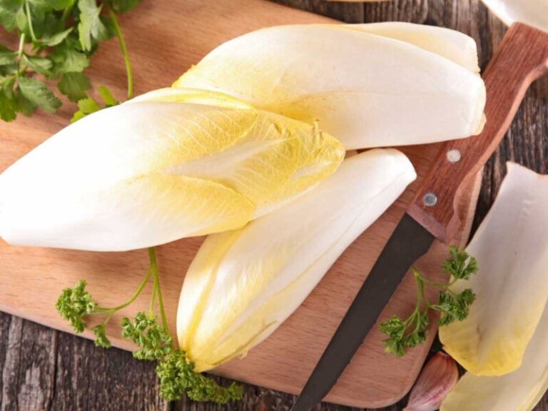 Endivias al horno gratinadas con bechamel y jamón