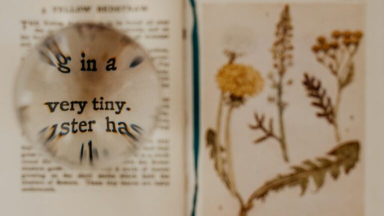 El ministerio de las cosas pequeñas